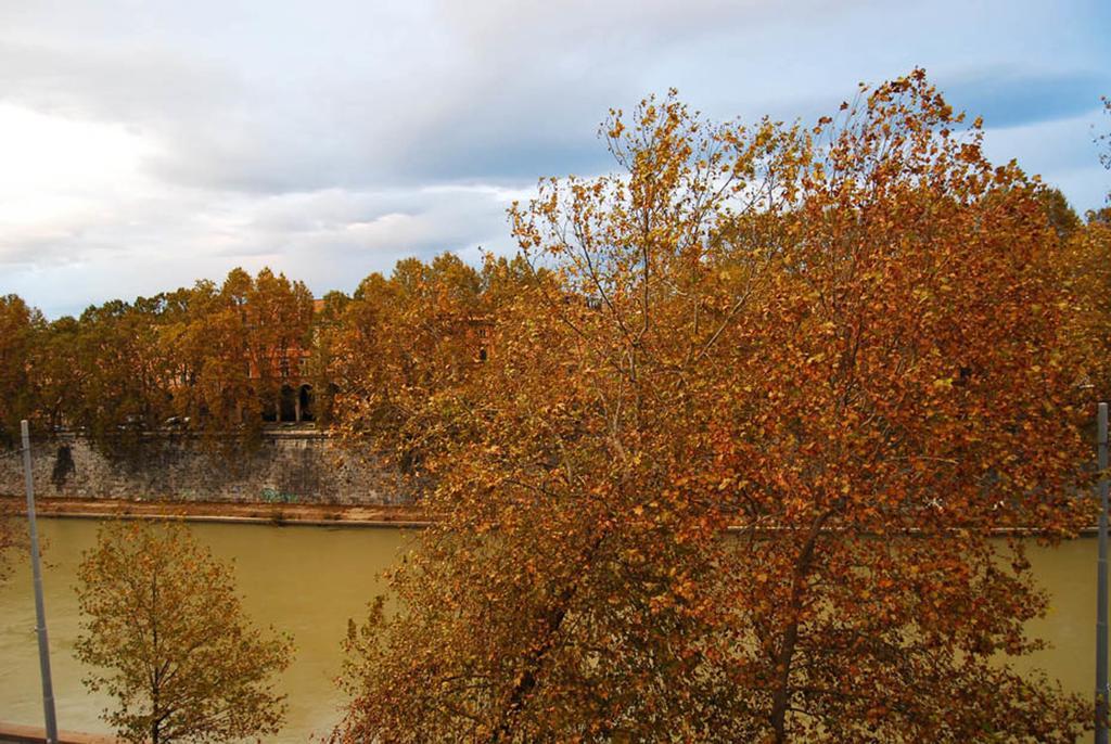 Over The Tiber Loft روما المظهر الخارجي الصورة
